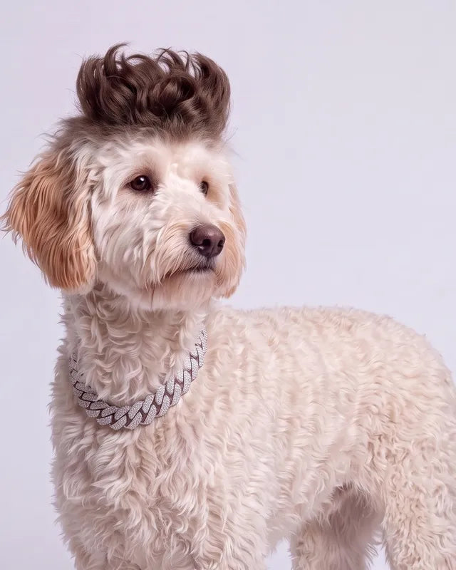 Biggie, AI look: brown curly pompadour and an iced out diamond cuban chain