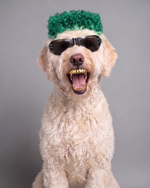 Boss, AI look: green curls on top of his head, black sunglasses and gold grillz