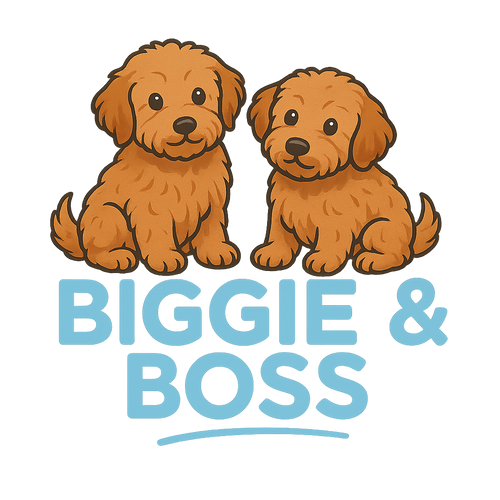 BiggieAndBoss.com