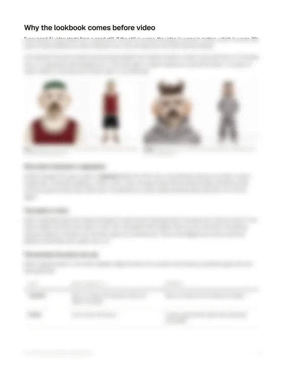 Guide page: why the lookbook comes before video, with Boss and Biggie lookbook images