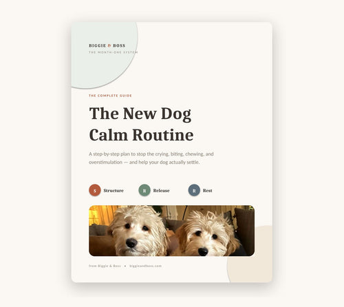 Guide cover — The New Dog Calm Routine by Biggie & Boss