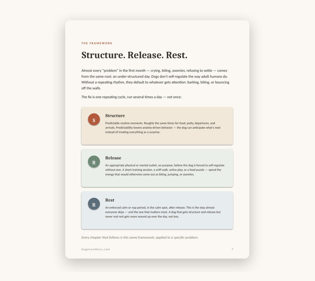 Inside the guide — the Structure, Release, Rest framework