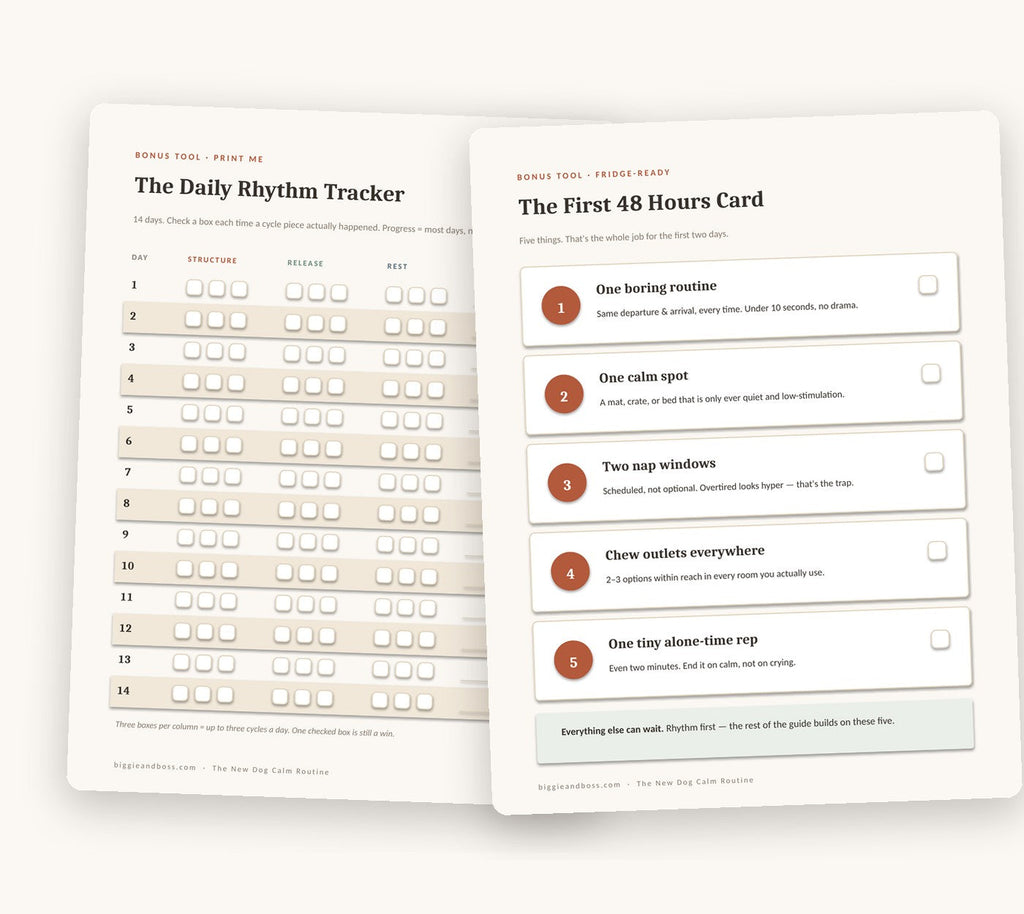 Included printable tools — Daily Rhythm Tracker and First 48 Hours Card